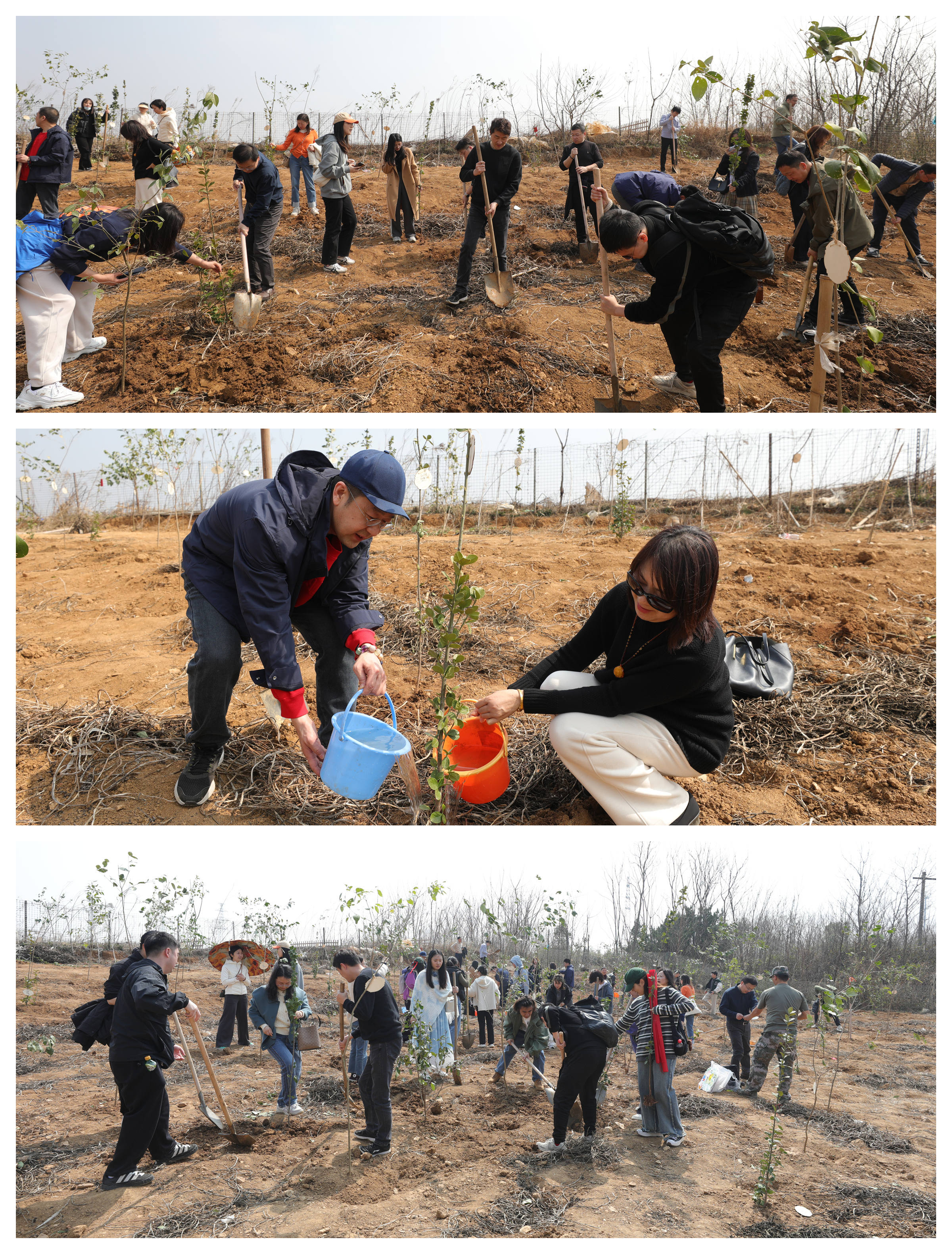 1741837240505982.jpg 1741837240505982.jpg